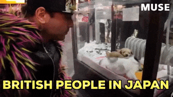Rock GIF