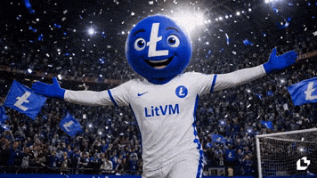 Lets Go Football GIF by LitVM