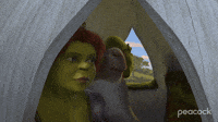 Burro Do Shrek GIF