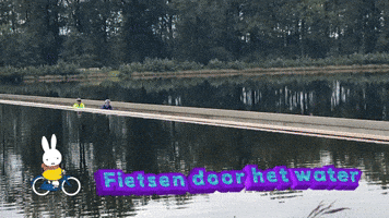 Bike Ctc Ctcutrecht Wielrennen GIF