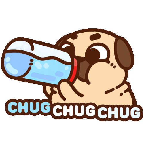 Dog Stay Hydrated Sticker by Puglie Pug