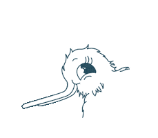 Heart Kiwi Sticker