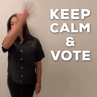 Vote Now Election 2020 GIF by Hannah Bronfman 