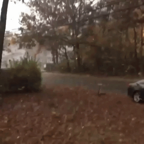 New York Fall GIF by Storyful