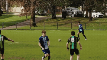 Ocsc GIF by Oldcamberwellsc
