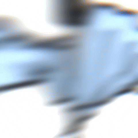 Put Down Cat GIF by sillynub