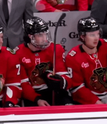 Blackhawks Bedard GIF