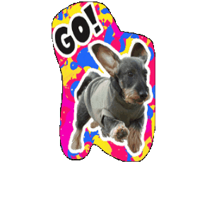 infkennel Sticker