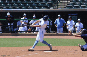 The Citadel Bulldogs GIF