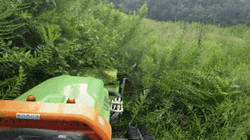 Into The Woods Rc GIF by Green Climber North America