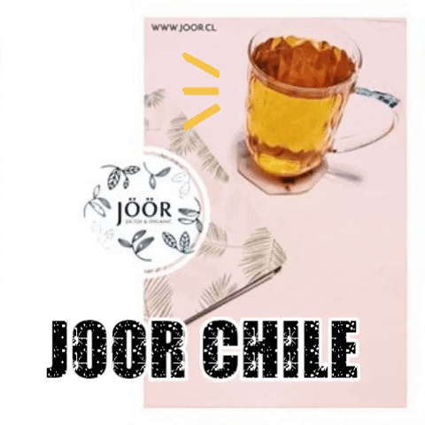 Joor Chile GIF