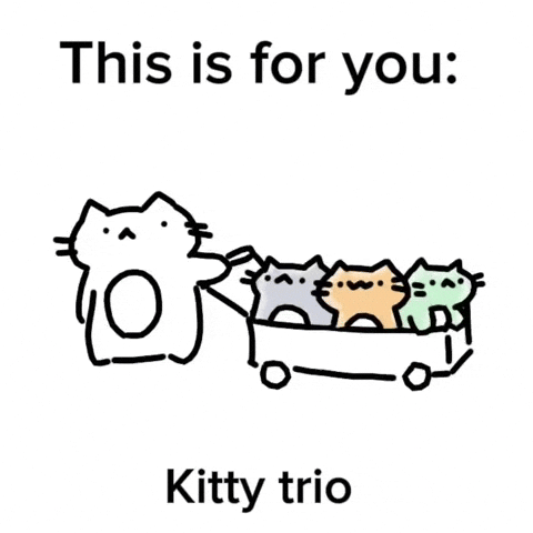 Cat GIF