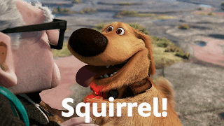 UP GIF: Dug "Squirrel!"