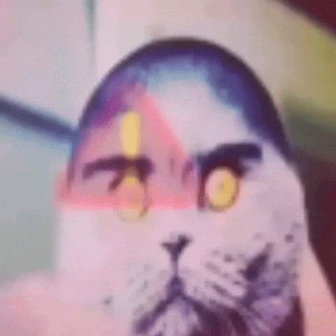 Folk Cat GIF