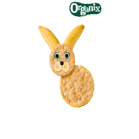 Organix Nederland Sticker