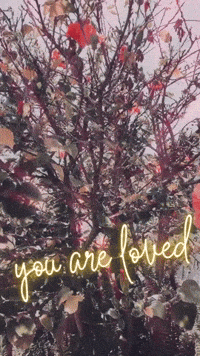Joys GIFs - Get the best GIF on GIPHY