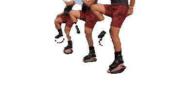 Wild Plyo Sticker