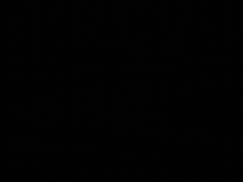 Czech Disaster GIF