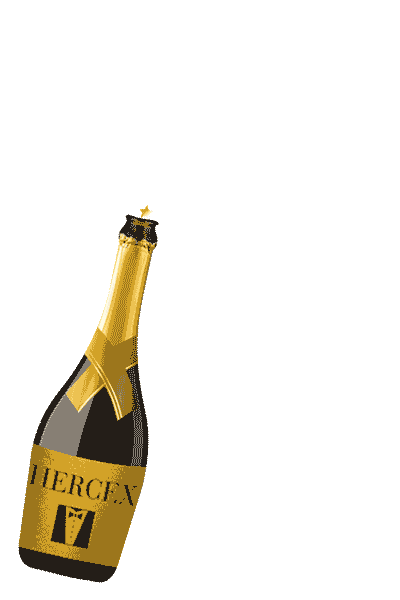 Party Champagne Sticker by Hercex
