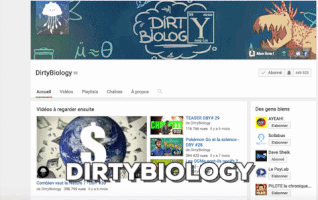 houselamaisonteaha  GIF