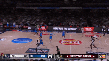 GIF by Melbourne United
