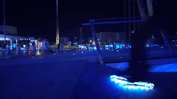 Roller Rollerblading GIF