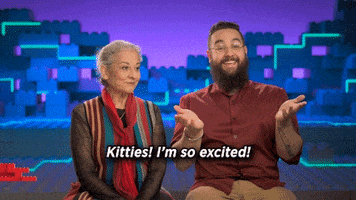 Kittens Im So Excited GIF by LEGO Masters