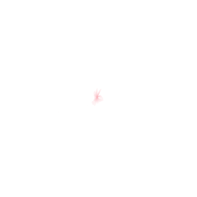 Lesaffre Srbija GIF