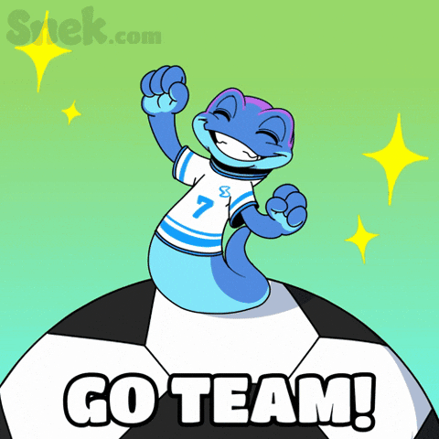 Go Team Dancing GIF by Snek