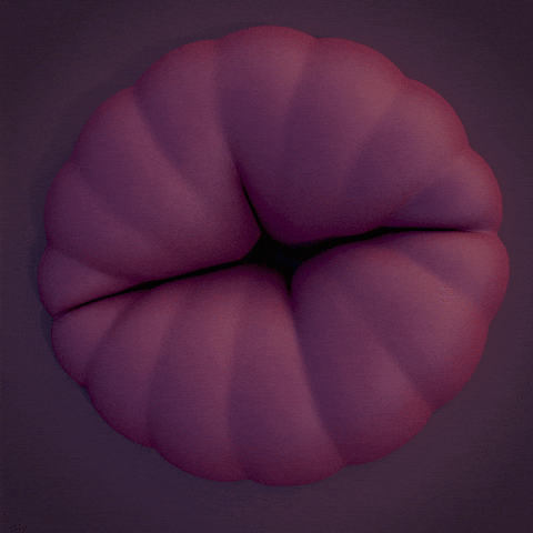 Hole Wobble GIF by Achiloid