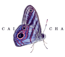 Chantecaille Sticker
