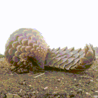 200.gif?cid=fc005b08d7fa6d748b76e5215e7a936226fccd5abbcf0ca6&rid=200.gif&ct=g
