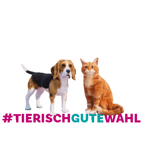 Felix Burda Stiftung Sticker