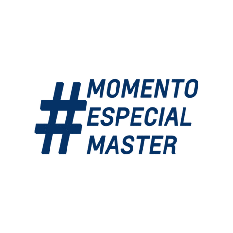 Master Hyundai Sticker