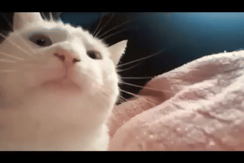 GIF uploaded by Bryan ✨️