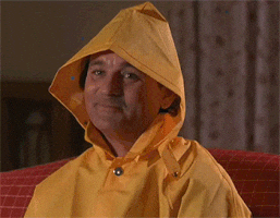 Bill Murray Ok GIF - Find & Share on GIPHY