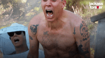 Steve O No GIF by Jackass Forever
