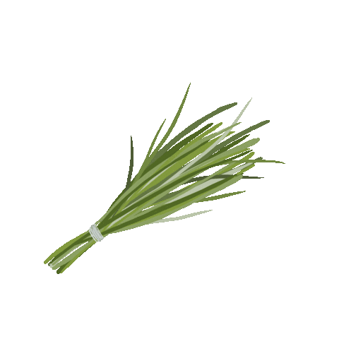 Thecolorstrokes Sticker