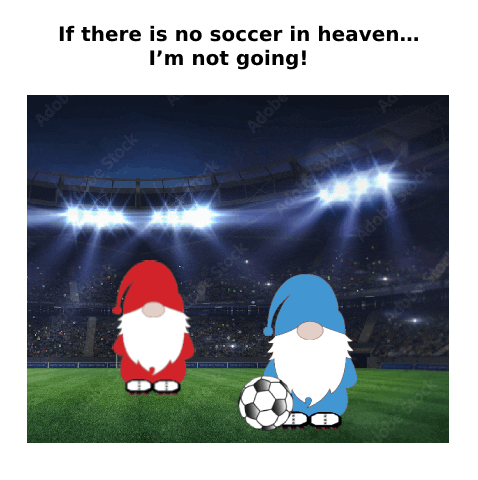 Sport Soccer GIF