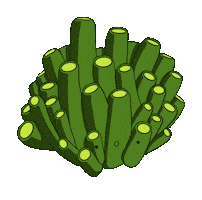Coral Sticker