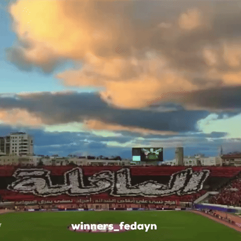 Wydad GIF
