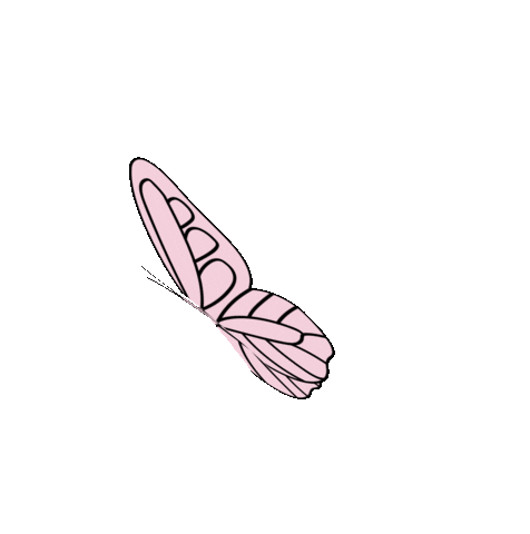 Illustration Butterfly Sticker