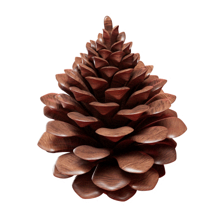 Navilover Sticker by StudioUniversaltv