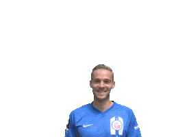 Hansa Inklusion Sticker