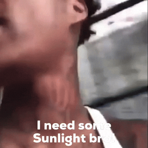 I Need Some Sun GIF