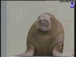 200.gif