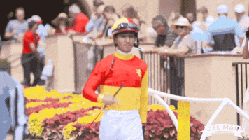 Horse Racing Jockey GIF by Del Mar Racing