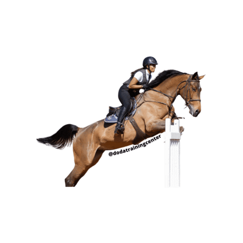 Doda Training Center Sticker