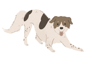 Animated Sticker