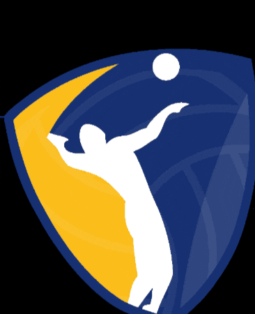 Volleyball Victoria GIF